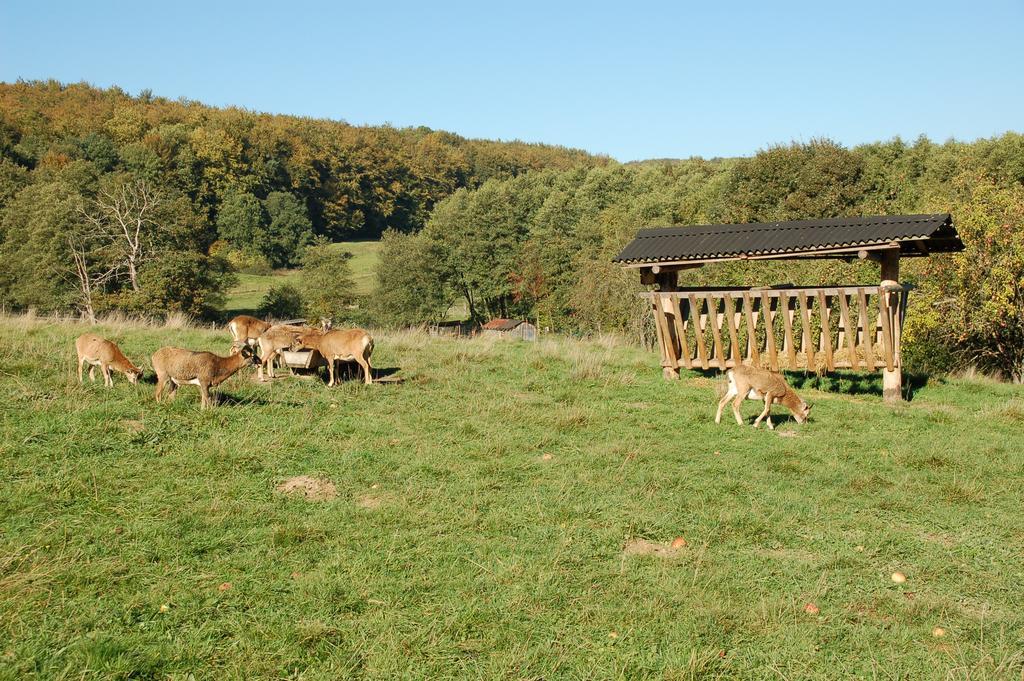 Hotel Wohlfuehlhotel Der Jaegerhof